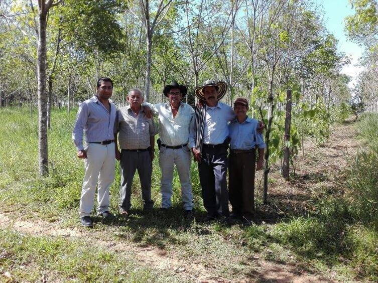 Cultivo de caucho en Guaviare junto a algunos campesinos